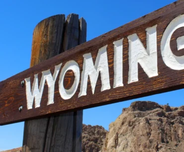 Form a Wyoming LLC Remotely