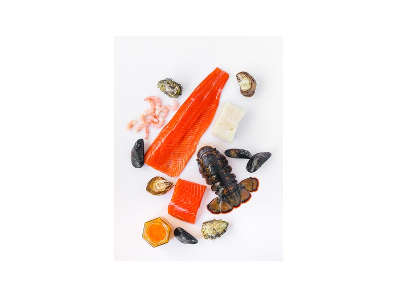 Daily Seafood Inc Logo