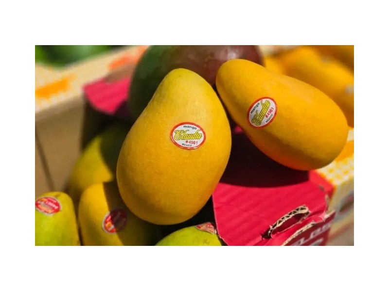 WorldWide Food Corp Logo